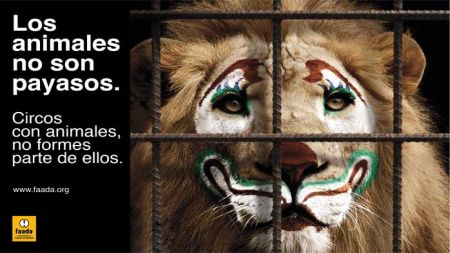 El maltrato animal se da también en la publicidad